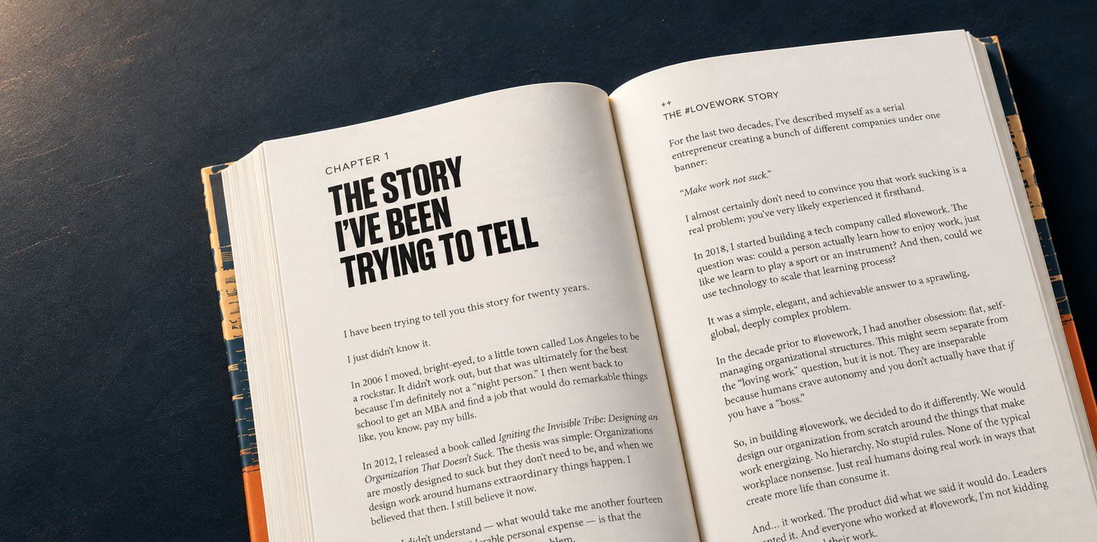 Work Will Kill Us All open to Chapter 1, The Story I've Been Trying to Tell